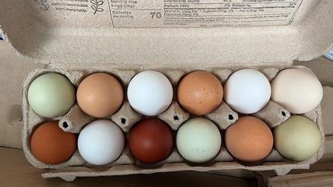Rainbow Eggs (Chicken)