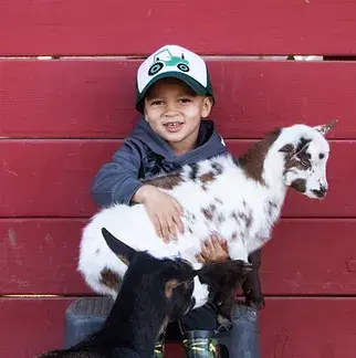 animalExperienceName