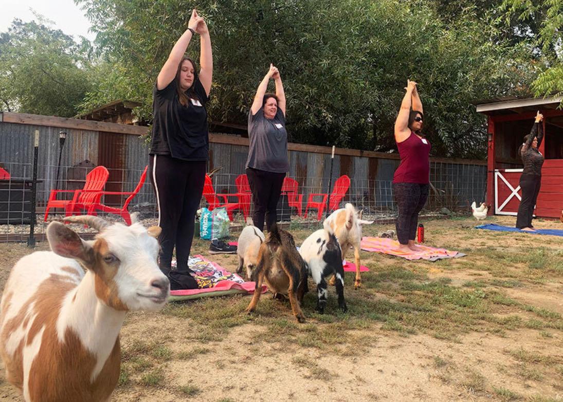 goatYogaName