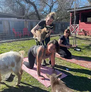 goatYogaName