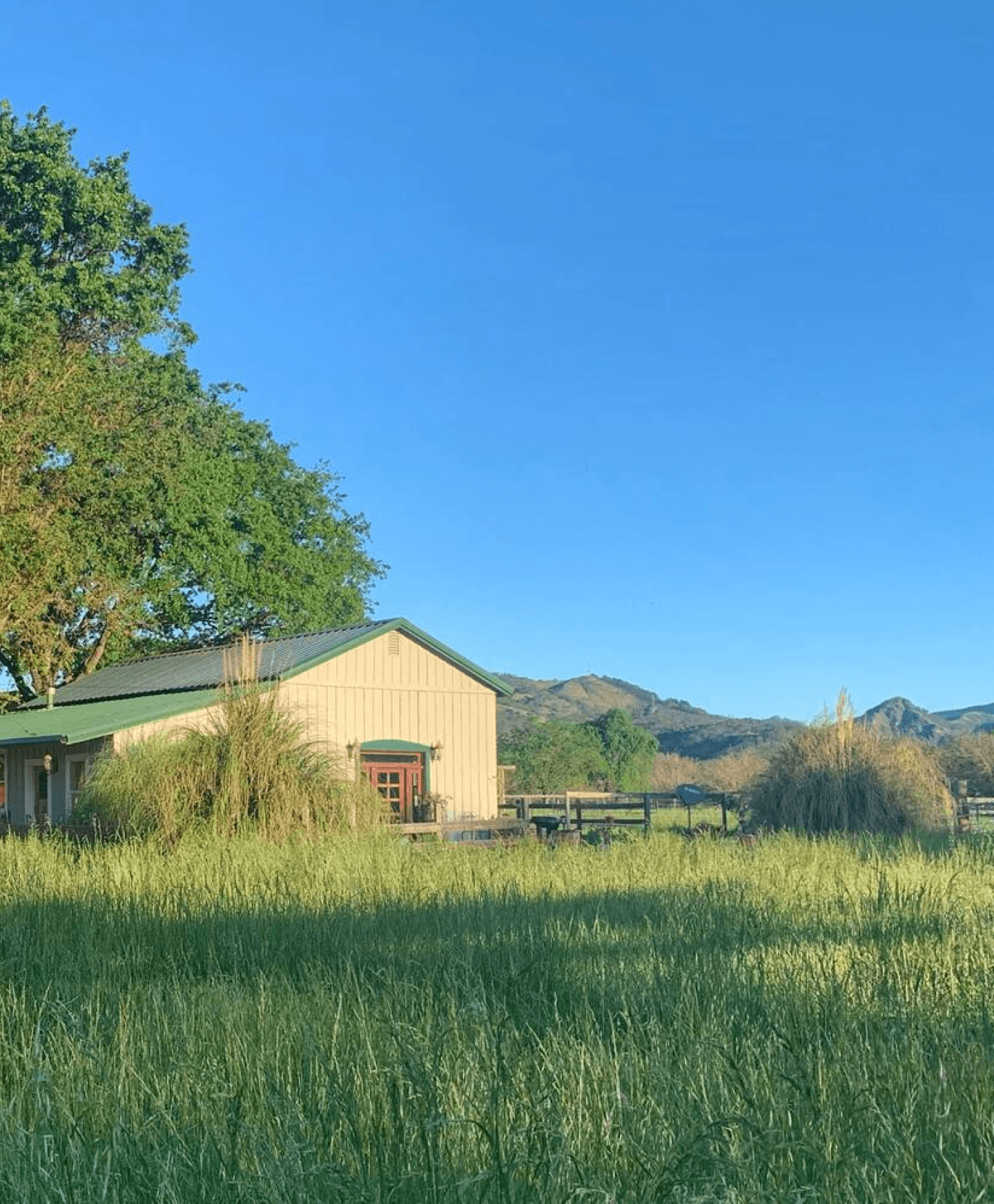 ranch scenary