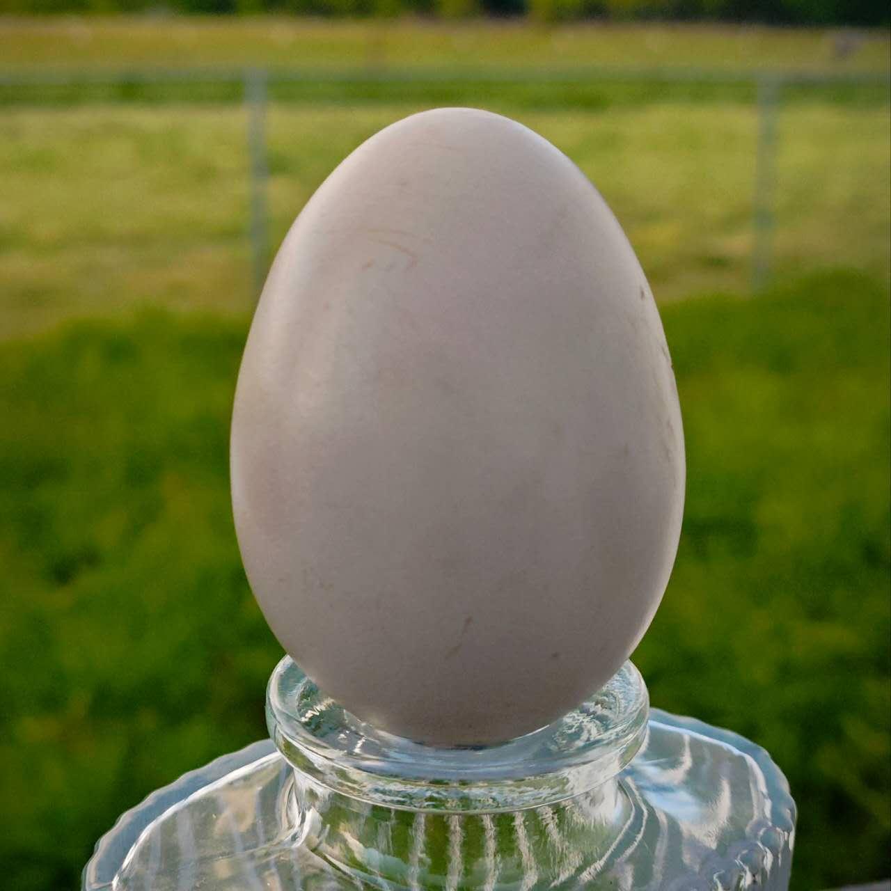 Cinder's egg